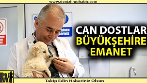 Can dostlar büyükşehire emanet