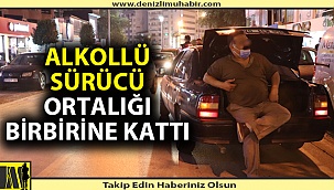 Denizli'de alkollü sürücü ortalığı birbirine kattı