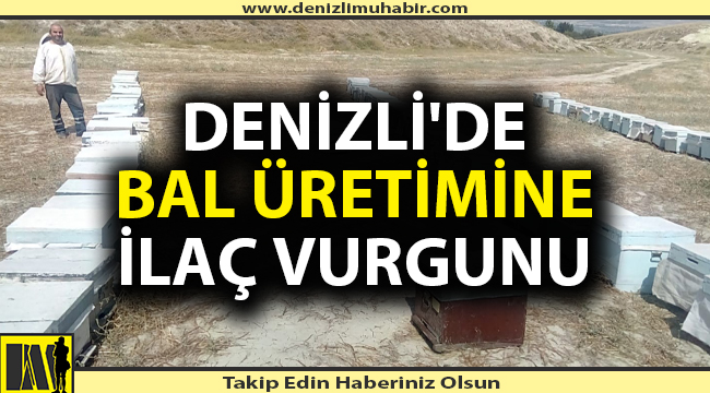 Denizli'de arıları ilaçlar vurdu