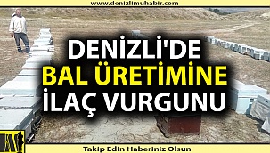 Denizli'de arıları ilaçlar vurdu