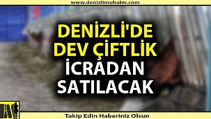 Denizli'de binlerce dönümlük çiftlik satışa çıkarılacak
