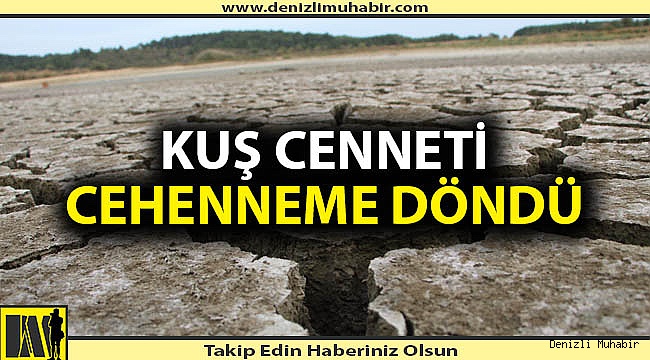 Denizli'de cennet kurudu, insanlık ayıbı ortaya çıktı