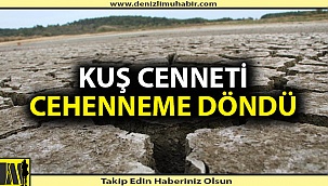 Denizli'de cennet kurudu, insanlık ayıbı ortaya çıktı