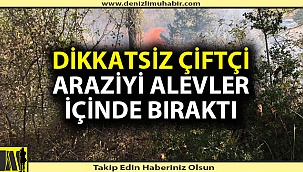 Denizli'de çiftçi anız yakarken 10 dönüm araziyi yaktı