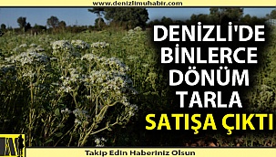 Denizli'de ekili tarlayı icradan satacaklar