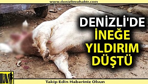 Denizli'de ineğe yıldırım düştü