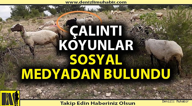 Denizli'de JASAT'ın dikkati hırsızı yakaladı