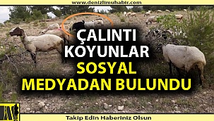 Denizli'de JASAT'ın dikkati hırsızı yakaladı