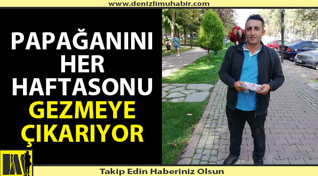 Denizli'de vatandaş her haftasonu papağanını gezdiriyor