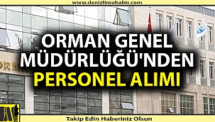 Denizli'den çeşitli branşlarda personel alımı yapılacak
