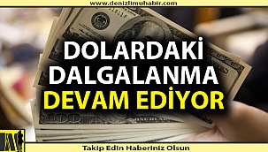 Dolar bir iniyor bir çıkıyor