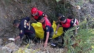 Eşi ve oğlunun önünde uçuruma yuvarlandı: 1 ölü