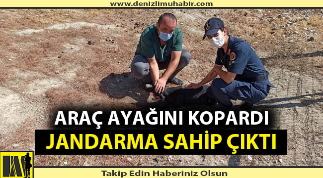Jandarmanın şefkati hayatını kurtardı