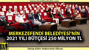 Merkezefendi Belediyesi’nin 2021 Yılı Bütçesi 250 Milyon TL