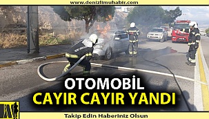 Otomobil cayır cayır yandı
