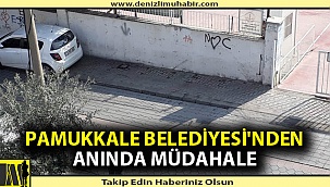 Pamukkale Belediyesi terbiyesizliğe göz yummadı