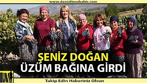 Şeniz Doğan üzüm bağına girdi
