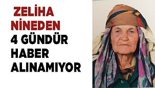 Zeliha nineden 4 gündür haber alınamıyor