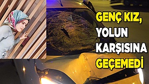 Anayolu koşarak geçmeye çalışan kadına araç çarptı: 1 ölü