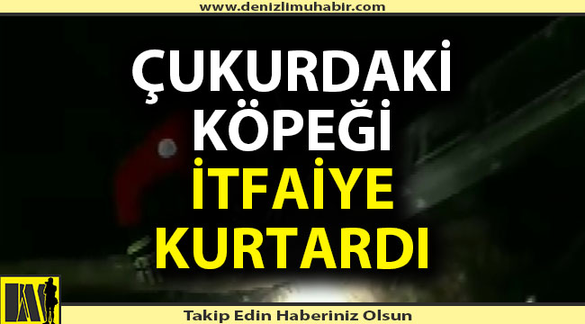 Çukura düşen köpeği itfaiye ekipleri kurtardı