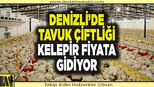 Denizli'de 3 tarla 1 tavuk çiftliği yarım milyondan fazla fiyata satılacak