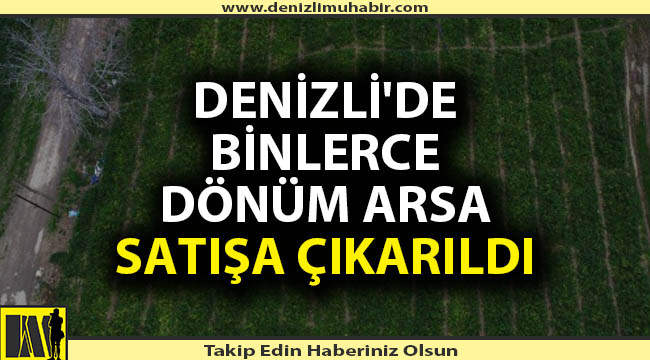 Denizli'de tarlayı icradan satışa çıkardılar
