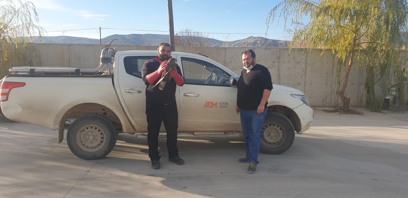 Dikkatli sürücü yaralı şahinin hayatını kurtardı