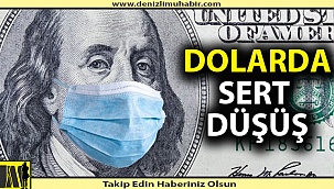 Dolar haftaya düşüşle başladı