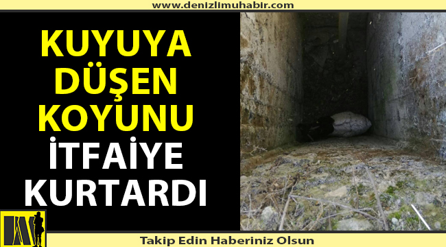 Küçükbaş hayvan 5 metrelik kuyudan itfaiye tarafından kurtarıldı