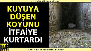 Küçükbaş hayvan 5 metrelik kuyudan itfaiye tarafından kurtarıldı