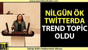 Nilgün Ök 'Araba' söylemi ile gündemde