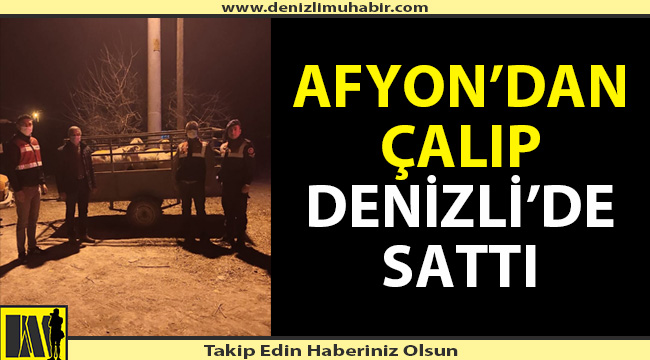 Afyon'dan çalıp Denizli'de sattı