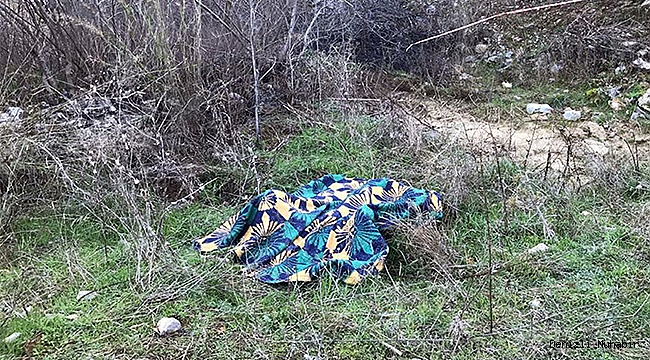 Alzheimer hastası ölü bulundu