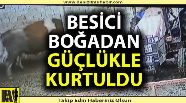 Besici öfkeli boğadan güçlükle kurtuldu