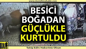 Besici öfkeli boğadan güçlükle kurtuldu