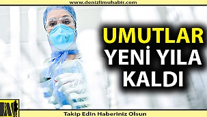 Çin aşısı yeni yıla kaldı