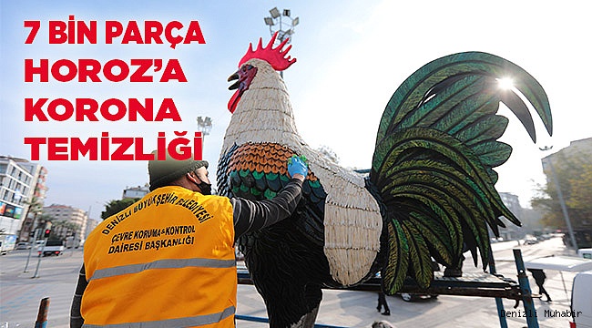 Denizli Horozu'na ince işçilik