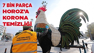 Denizli Horozu'na ince işçilik