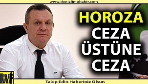 Denizlispor'a ceza üstüne ceza