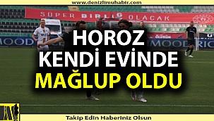 Denizlispor, seri yapamadı