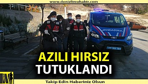 Divanın altından çıkan azılı hırsız tutuklandı