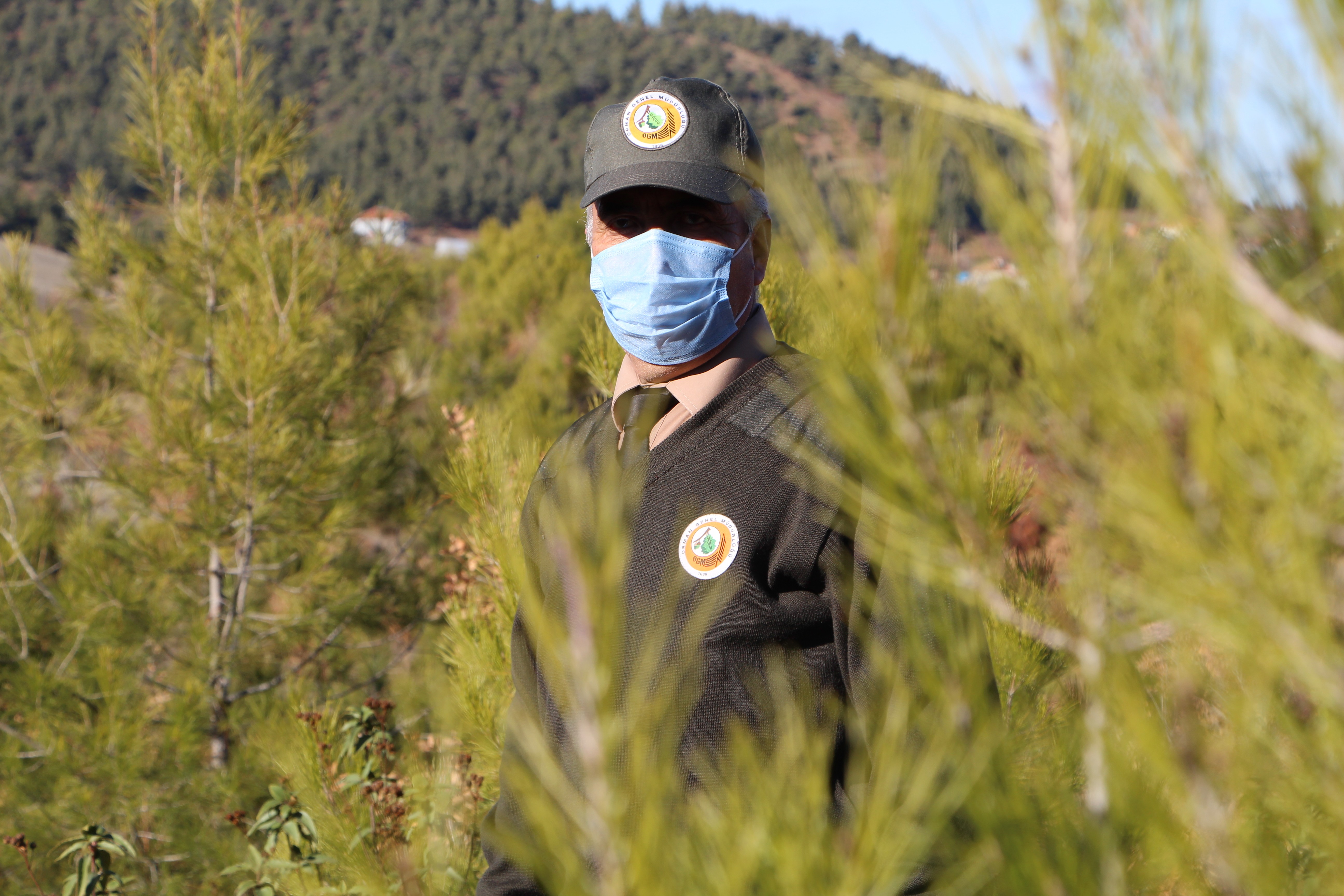 Fidanları 1 gecelik hevesten koruyorlar