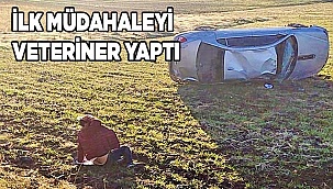 Kontrolden çıkan otomobil tarlaya uçtu: 1 ağır yaralı