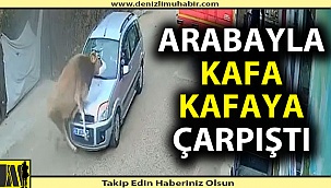 İnekle otomobil kafa kafaya çarpıştı