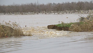 Menderes Nehri alarm vermeye başladı