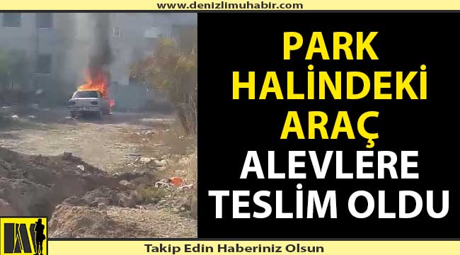 Park halindeki araç cayır cayır yandı