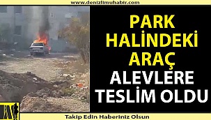 Park halindeki araç cayır cayır yandı