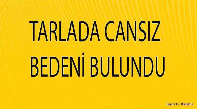 Tarlada cansız bedeni bulundu
