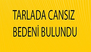 Tarlada cansız bedeni bulundu