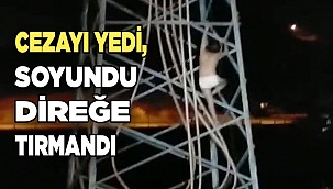 Trafik cezası yiyince yarı çıplak yüksek gerilim hattına çıktı